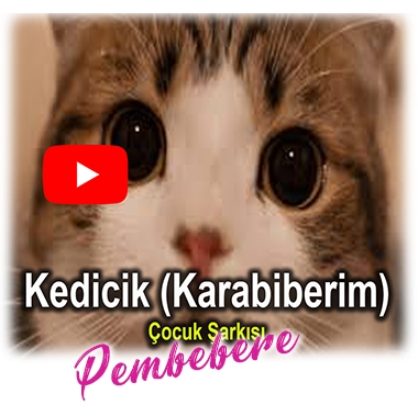 Kedicik (Karabiberim) - Çocuk Şarkısı