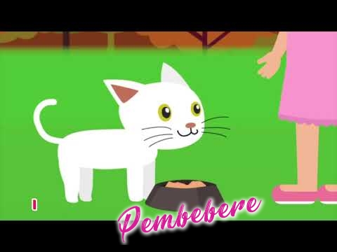 Fluffy White Kitten - Demet s Songs For Children - Demet Tekin
